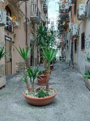 La Rosa Dei Venti " Ponente" Daire Palermo Dış mekan fotoğraf